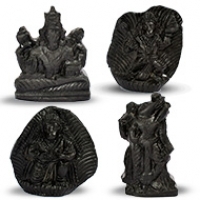 Shaligram Idols (Murti)