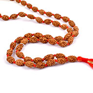 2 mukhi moon mala - 12 mm