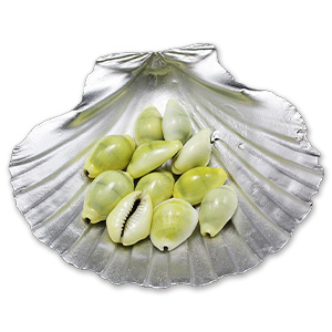 Cowry-shells