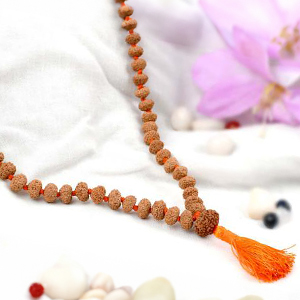 10 Mukhi Krishna Mala (8 mm)