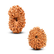 Java (Indonesian) Rudraksha