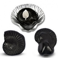 Shaligram Shila
