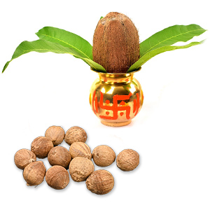 Sriphal Holy Betelnut Coconut