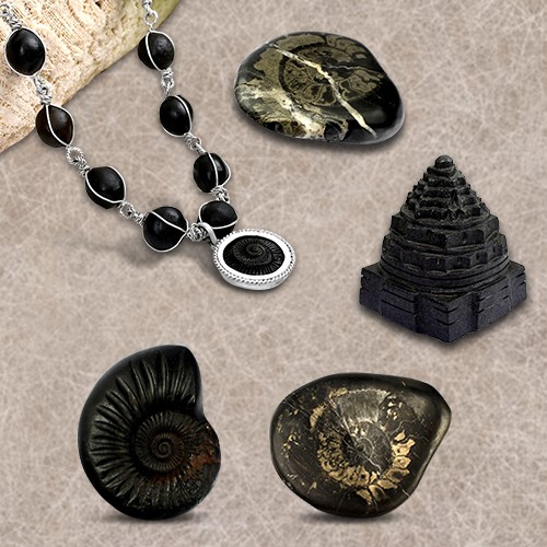 about shaligram stone: benefits, power, story and identification